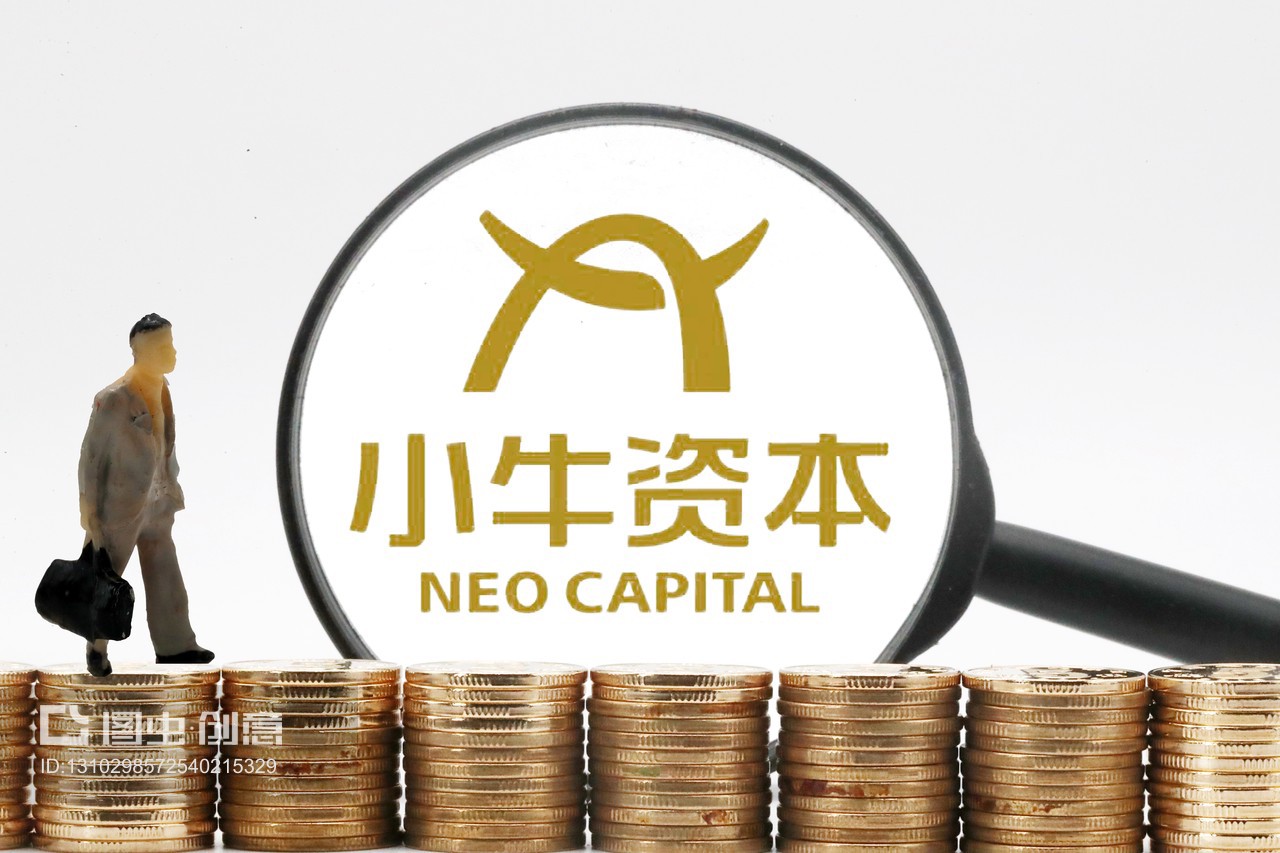 小牛资本管理集团