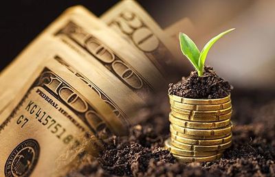 金斧子1亿元融资