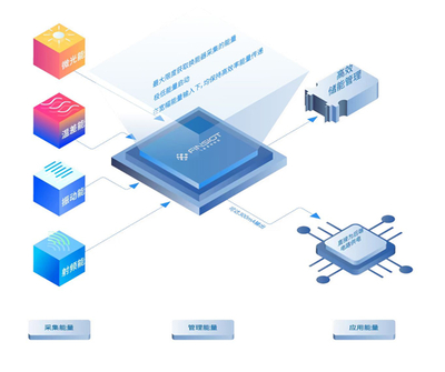 一场成都和青年的双向奔赴