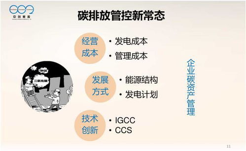 大型控排企业碳资产管理体系构建与资本管理