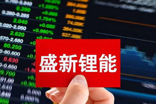 盛新锂能注册资本1亿元成立新公司，战略布局资本管理领域